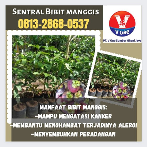 IMG 20221124 042931 956.jpg