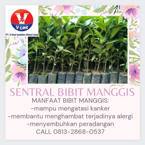 IMG 20221124 042948 500.jpg