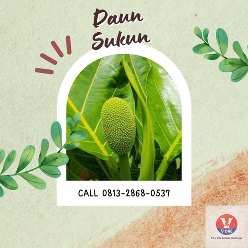 desain daun sukun 46.png