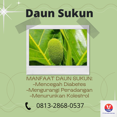desain daun sukun 48.png