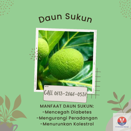 desain daun sukun 47.png