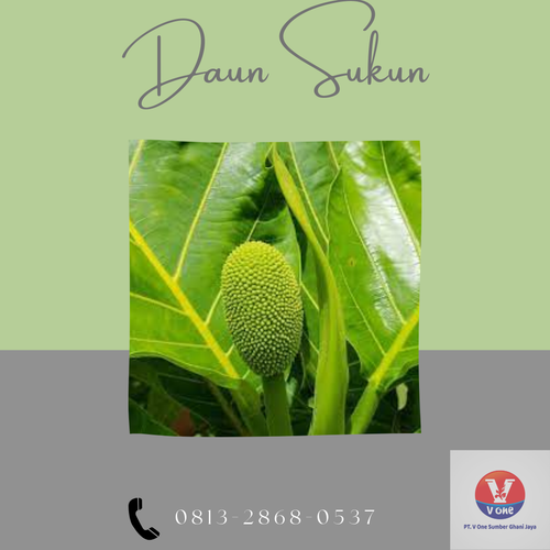 desain daun sukun 49.png