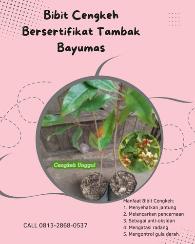 IMG 20221124 000224 202.jpg