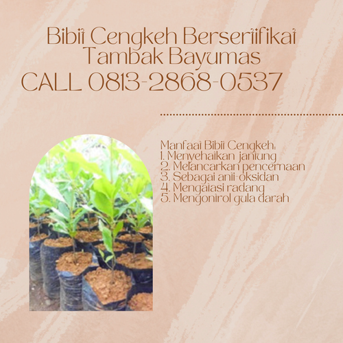 png 20221123 211229 0000.png