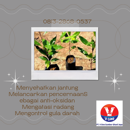 png 20221121 071648 0000.png