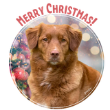 Merry Christmas To All And To All A Good Night 5.png