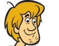 shaggy.png