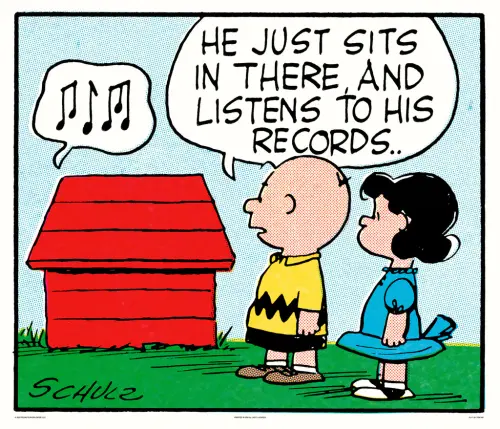 Peanuts PM.040 Records LARGE 46ed334c 00e1 4cf9 99a0 b724cc69b2de 1024x1024.webp