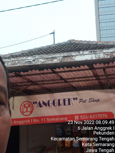 anggrek pet shop wisnu.jpg