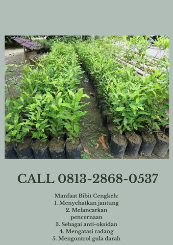 png 20221123 170730 0000.png