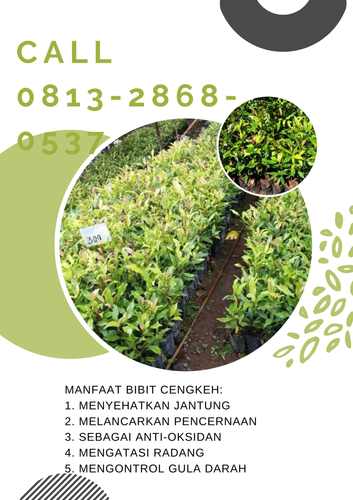 png 20221123 171800 0000.png