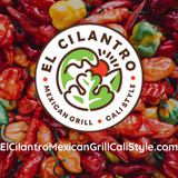 El Cilantro Mexican Food - Fresh Ingredients 8/12
