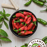 El Cilantro Mexican Food - Fresh Ingredients 9/12