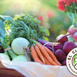 El Cilantro Mexican Food - Fresh Ingredients 6/12