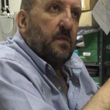 GALARDO SAUL.png