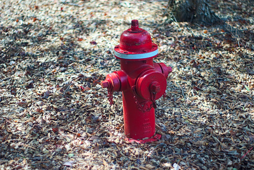 Red Fire Hydrant.jpg