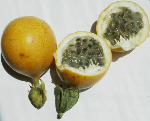 Passionfruit Sweet Granadilla 706