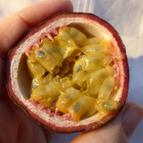 Passionfruit Any 1 bc8f409b 911a 4233 b56d 67215ba44d49 1080x