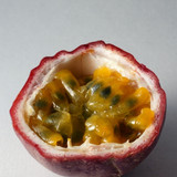 Passionfruit Misty Gem 4908