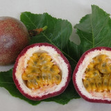 Passionfruit Supersweet 96A 214