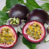 Passionfruit Grafted Black 217