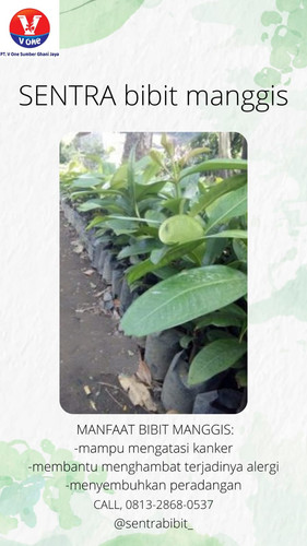 IMG 20221123 WA0013.jpg