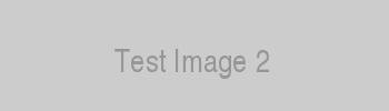 350x100 2.png