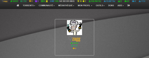 Profil zagg xthor.png