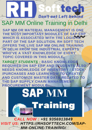 sap mm delhi.png