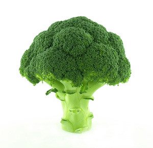 Broccoli.jpg
