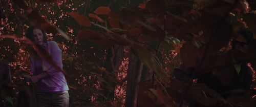 550688eb3e38.png