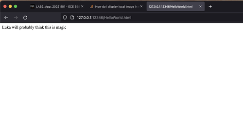 webserver screenshot.png