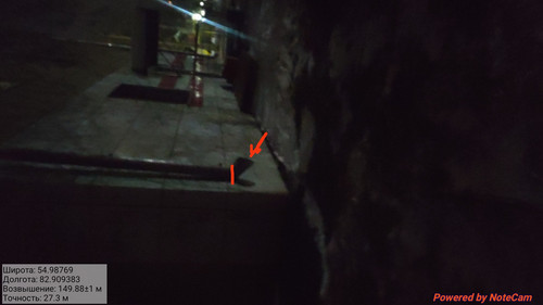 IMG 20221124 213122.jpg