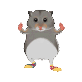 Asc6DTjAhR4mi5IVin20Mp3U.gif
