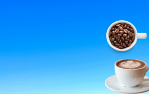 Untitled design (3).png