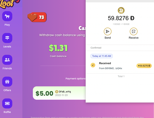 dogecoin withdrawal donkeyloot 2022 november 23.png