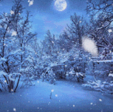 icegif 999.gif