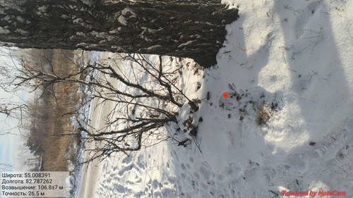 IMG 20221124 190558.jpg