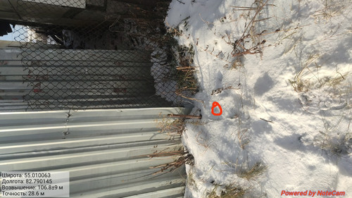 IMG 20221124 191106.jpg