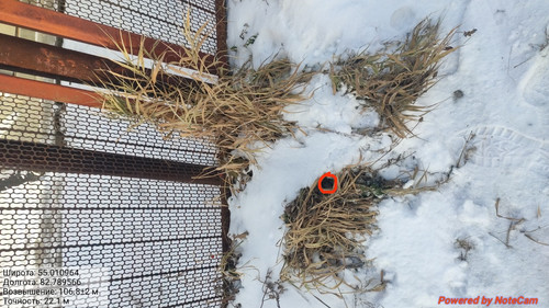 IMG 20221124 191426.jpg