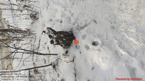 IMG 20221124 190445.jpg