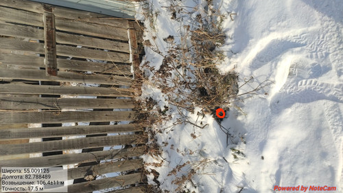 IMG 20221124 190942.jpg