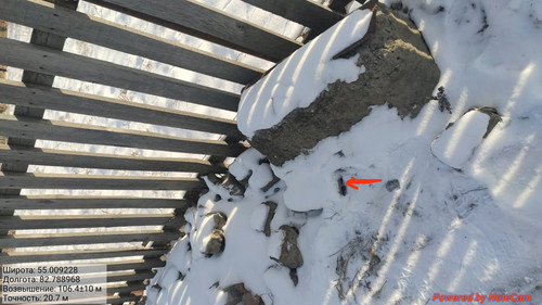 IMG 20221124 191001.jpg