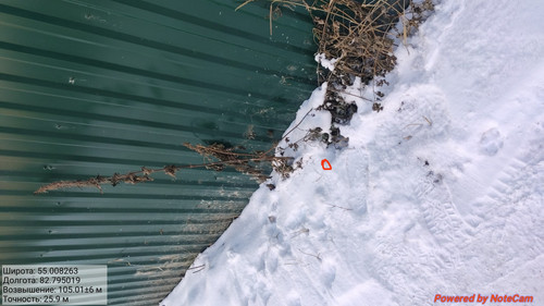 IMG 20221124 192706.jpg