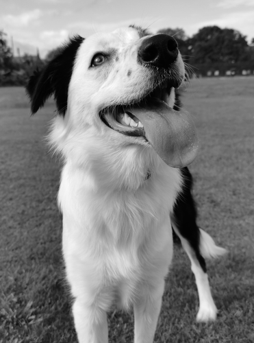 IMG 20190926 145309.png