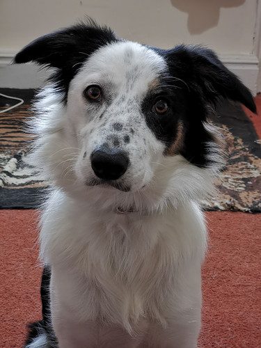 IMG 20191030 112353.jpg