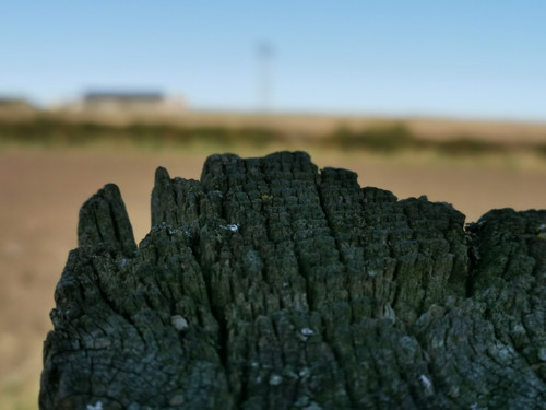 IMG 20191027 103248.jpg