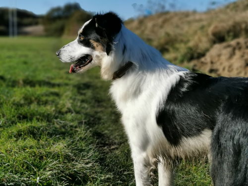 IMG 20191027 105704.png