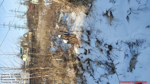 IMG 20221124 192830.jpg