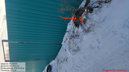 IMG 20221124 192522.jpg